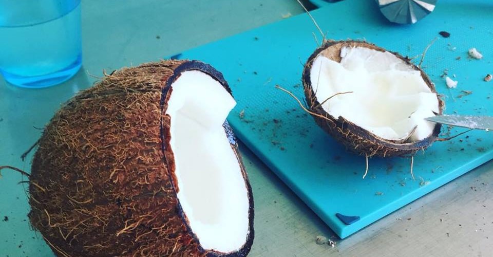 Natürliche Inhaltsstoffe - Noix de Coco - Kokosnuss milch Yves Rocher